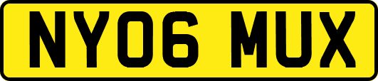 NY06MUX