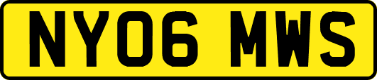 NY06MWS
