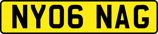 NY06NAG