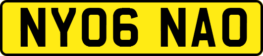 NY06NAO