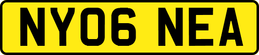 NY06NEA