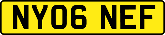 NY06NEF