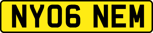 NY06NEM