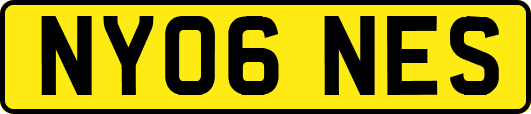 NY06NES