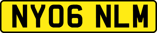NY06NLM