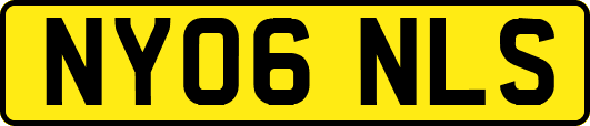 NY06NLS