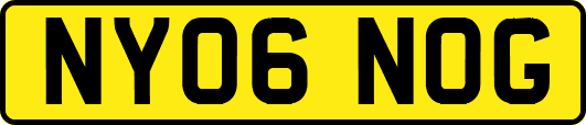NY06NOG