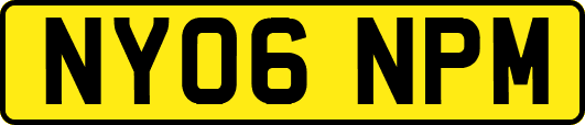 NY06NPM