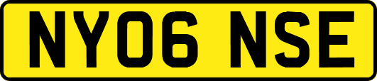 NY06NSE