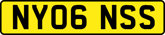 NY06NSS