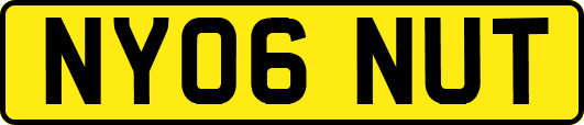 NY06NUT