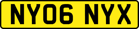 NY06NYX