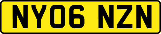 NY06NZN