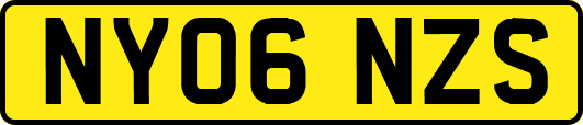 NY06NZS