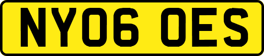 NY06OES