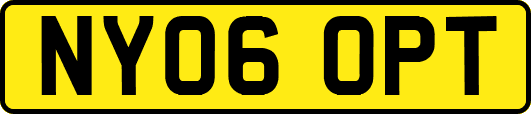 NY06OPT