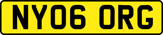 NY06ORG