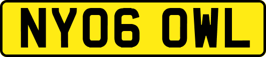 NY06OWL