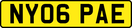 NY06PAE