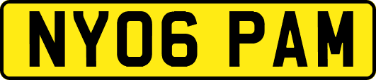 NY06PAM