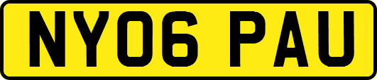 NY06PAU