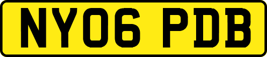NY06PDB
