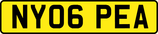 NY06PEA