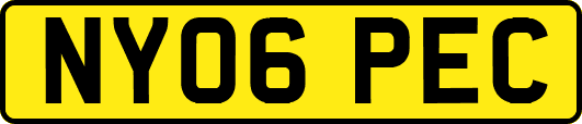 NY06PEC