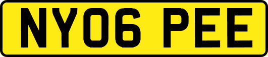 NY06PEE