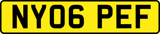 NY06PEF