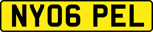 NY06PEL