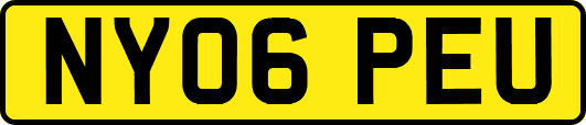NY06PEU