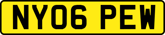 NY06PEW