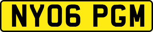 NY06PGM