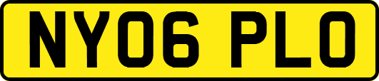 NY06PLO