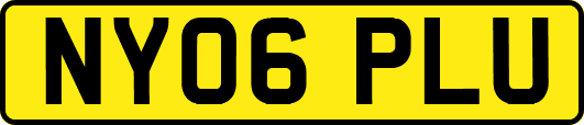 NY06PLU