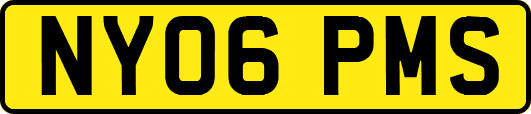 NY06PMS