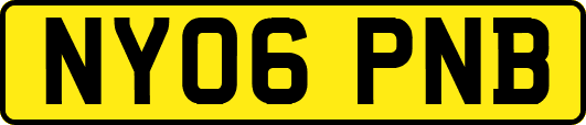 NY06PNB
