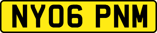 NY06PNM