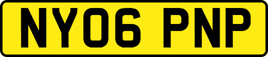 NY06PNP
