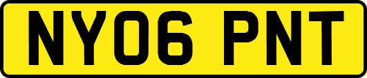 NY06PNT
