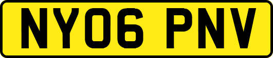 NY06PNV