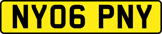 NY06PNY