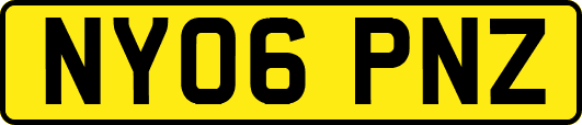 NY06PNZ