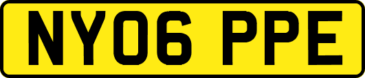 NY06PPE