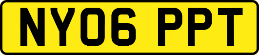 NY06PPT