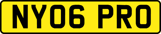 NY06PRO