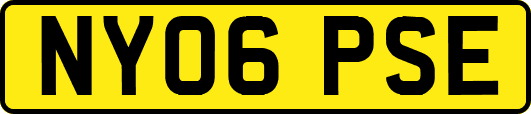 NY06PSE