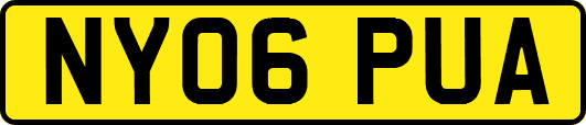 NY06PUA