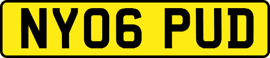 NY06PUD